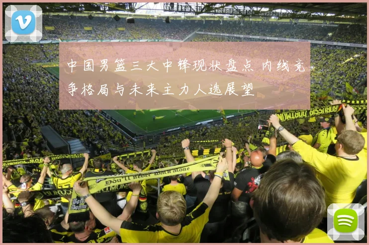 中国男篮三大中锋现状盘点 内线竞争格局与未来主力人选展望