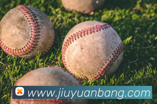 国足直播入口平台生态图